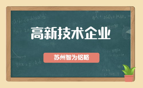 苏州企业高新技术路径选择 一对一定制化服务的关键价值